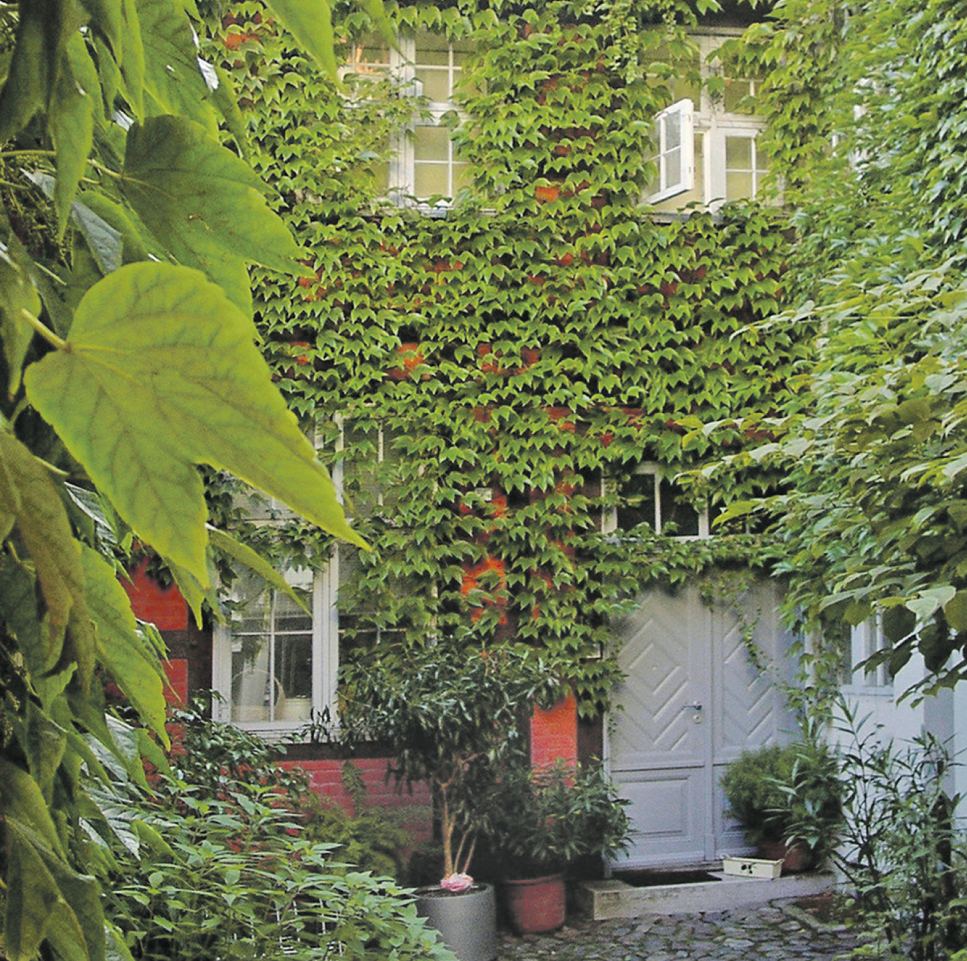 Fassadengruenen