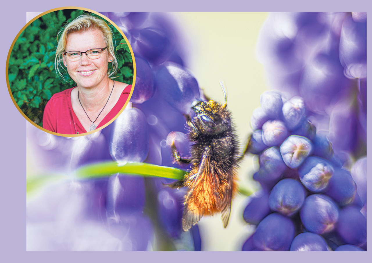 Weltbienentag