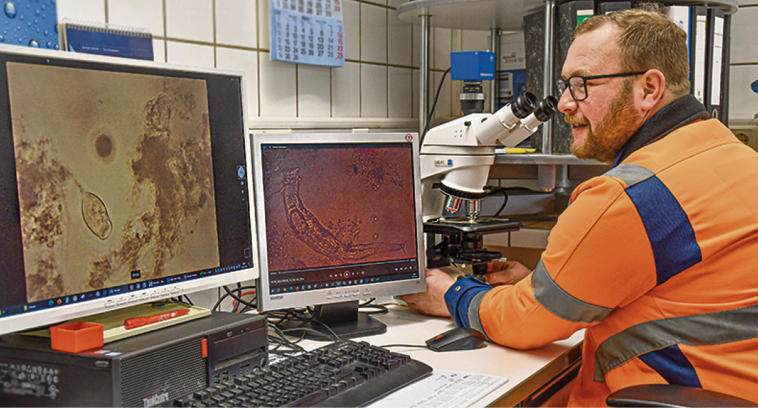 Die Ruhe nach dem Sturm