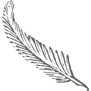 Öffnen